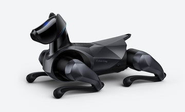 Czym są Magic Cards na Mi-Home.pl?