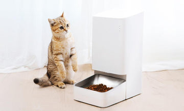 Zadbaj o zwierzęta domowe z Xiaomi