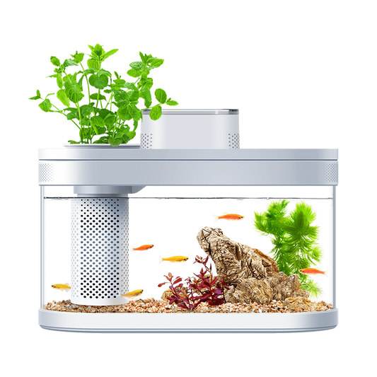DESGEO Ecological Lazy Fish Tank Pro